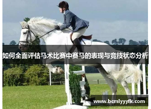 如何全面评估马术比赛中赛马的表现与竞技状态分析