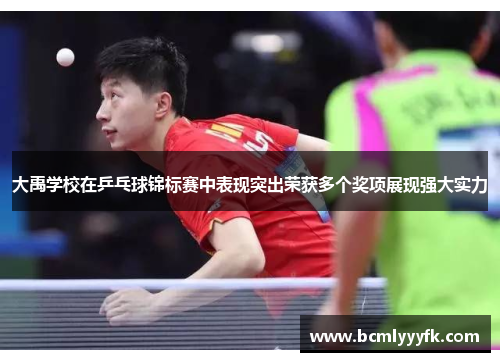 大禹学校在乒乓球锦标赛中表现突出荣获多个奖项展现强大实力